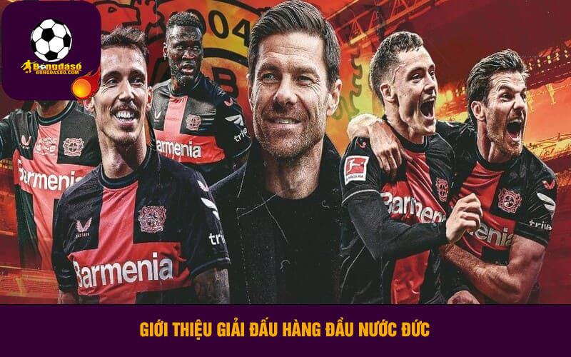 Giới thiệu giải đấu hàng đầu nước Đức