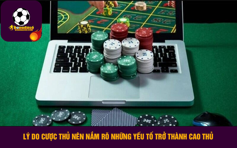 Lý do cược thủ nên nắm rõ những yếu tố trở thành cao thủ