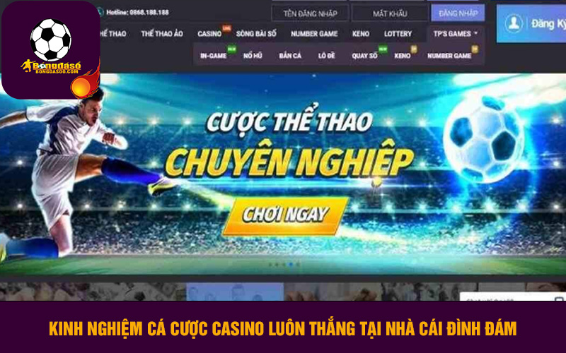 Kinh nghiệm cá cược casino luôn thắng tại nhà cái đình đám one88