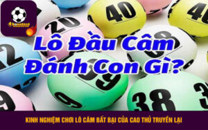 Kinh nghiệm chơi lô câm bất bại của cao thủ truyền lại