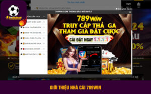Giới thiệu nhà cái 789win