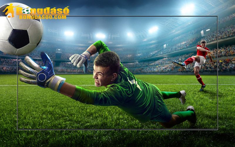 Đánh giá chuẩn nhất, liệu kèo nào ngon hơn?