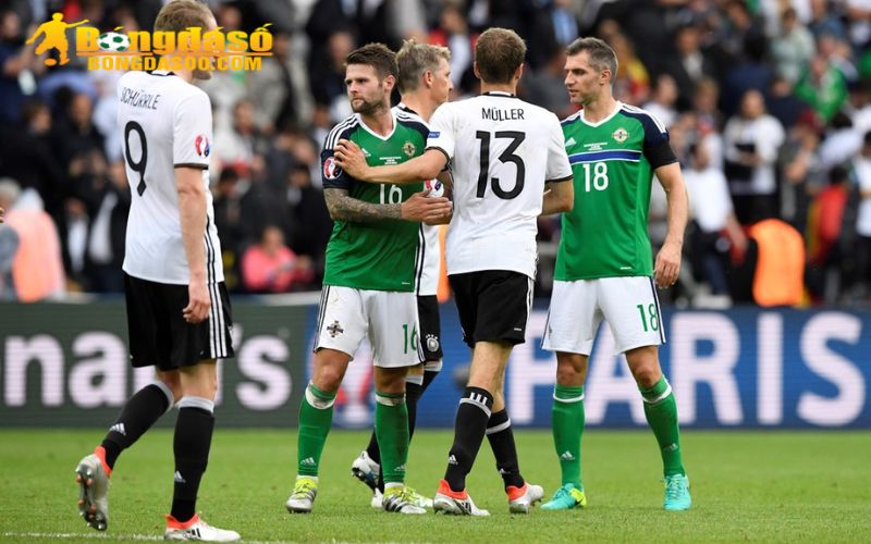Đội tuyển Ireland tại Euro 2016